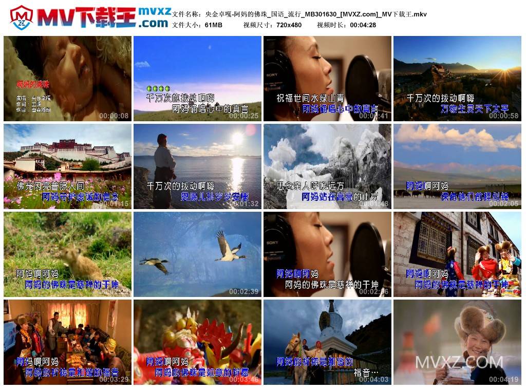 央金卓嘎-阿妈的佛珠_国语_流行_MB301630